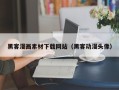 灵宝黑客漫画素材下载网站（黑客动漫头像）