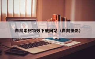 灵宝白鹅素材特效下载网站（白鹅摄影）